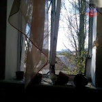 1 ������� ����� 57-12