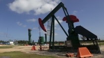 Цена барреля нефти Brent преодолела отметку в 31 доллар Цена барреля нефти Brent преодолела отметку в 31 доллар