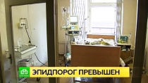 В конце января город на Неве ждет пик заболеваемости гриппом В конце января город на Неве ждет пик заболеваемости гриппом