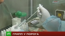 Эксперт призвал защищаться от свиного гриппа с помощью прививок Эксперт призвал защищаться от свиного гриппа с помощью прививок