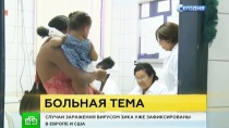 Британские ученые намерены победить вирус Зика стерилизацией комаров Британские ученые намерены победить вирус Зика стерилизацией комаров