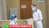 Туристка привезла из Доминиканы в Москву вирус Зика Туристка привезла из Доминиканы в Москву вирус Зика