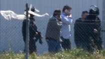   EgyptAir   