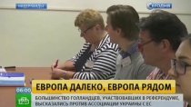 Результаты нидерландского референдума стали для Киева настоящим ударом Результаты нидерландского референдума стали для Киева настоящим ударом