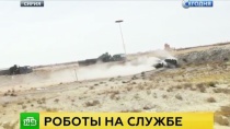 Российские роботы-саперы разминировали 150 бомб в Пальмире Российские роботы-саперы разминировали 150 бомб в Пальмире