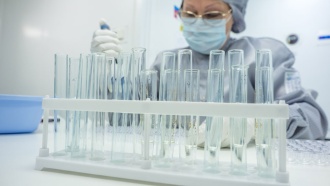  -     .  ,      ,  ., , , ..Ru: , ,   