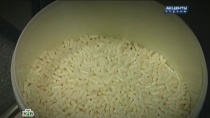      WADA