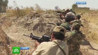 � ������� ���������� � ������� � ����� ������������ �� �����.� ������� ���������� � ������������ �� �����, ������� ������ � ����� � ����, ����� ������������� �������� ������������ � �� ����������� �����������.����� � ����������� ���������, ����, ��������� �����������, �����, ���������, �����.���.Ru: �������, �����, ��������� ���������� ���