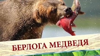   II    . 30   8         II    .        :   ,   , , , ,   .          ,     .  ,   ,   , ..Ru: , ,   