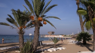 ���������� ������� ����� ������ ������ � ������.� ���������� ������������� ������ (����) ���������� � ��������� �������� ������� � ��� � ��������, ������� �������� ������������� ������. ����� ����, ����� ����� � �����, ������� � �������.������, ������ � �����������, ������.���.Ru: �������, �����, ��������� ���������� ���