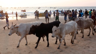 ���: ��� ����� � ������ ������������� �������� ��� �������.��������� ������ ��� � ��������� ����� ����� �������� ������ ������� ���� ������ �������: ���� ��� �������� �� ������� ���������� ����������� ��� ������ �������� �� ��. ����������, ��� ��� ����� �� ������� � ���������������� �������.������, �����, ������, ������ � �����������.���.Ru: �������, �����, ��������� ���������� ���