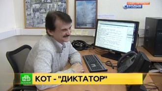          2016.           . , -..Ru: , ,   