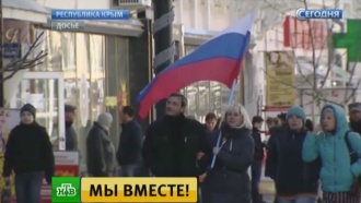         .          . 16  2014   95%          .          ,  .   ,    ., ,   ..Ru: , ,   