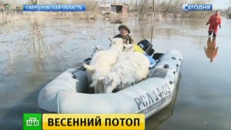       .           .         .            ., ,  ,  ..Ru: , ,   