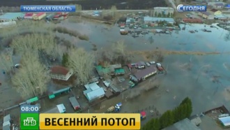        .     -    .,  ,  ,  , ..Ru: , ,   