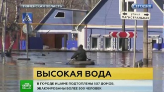       - .         .         500 .       40 ,  .,  ,  ..Ru: , ,   