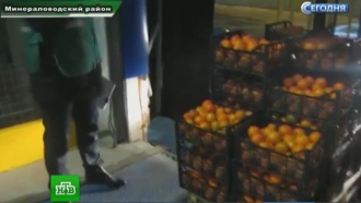       .   225    .          . , , , ..Ru: , ,   