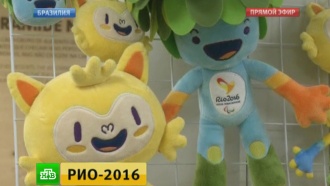        -2016.       ,    --   2016 ., , --..Ru: , ,   