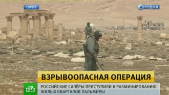         .       .    560  .           .,    , ..Ru: , ,   