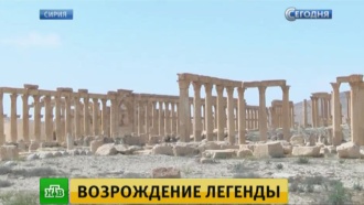     :     . ,          (  ),    .   , , ,    ,  , , , ..Ru: , ,   