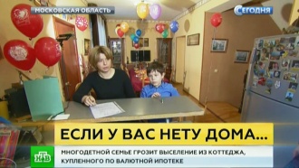     29     .    ,   29      .        -  . ,   , , , , ..Ru: , ,   