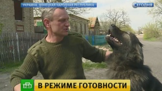      .       .        ,      Skype.      ,   ,  .   ,         .   , , ..Ru: , ,   