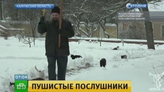       .            ., , , ..Ru: , ,   