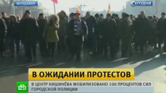          .  ,         ,    .      ,  100%   ., ,   ..Ru: , ,   