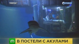         .  ,   ,    .   ,        .         .,   , , , ..Ru: , ,   