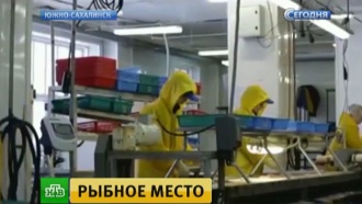       .        ,           ., ,   ,   ..Ru: , ,   