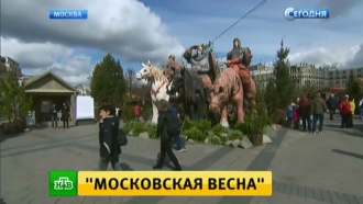        .         .  ,          .,   ..Ru: , ,   