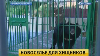          .  ,        ,      .             ,        ., , , ..Ru: , ,   
