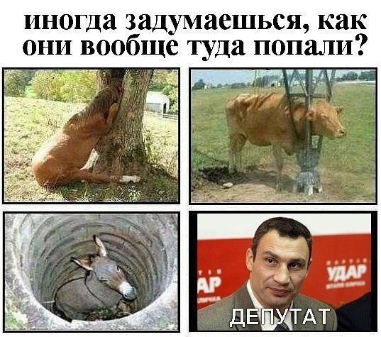 ---1099731