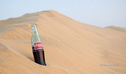   Coca-Cola