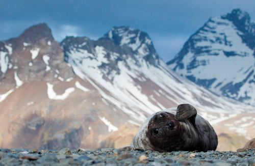  ,     National Geographic 2012