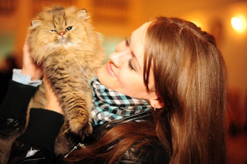    Cat show Moldova 2011