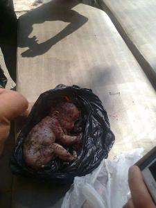 Homs 2 (2)