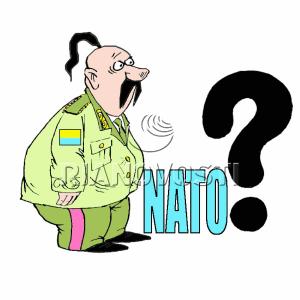 ������� ����