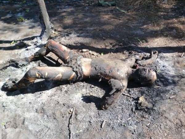 ���, ��� �������� �� ��������� ��������� "�����". 18 