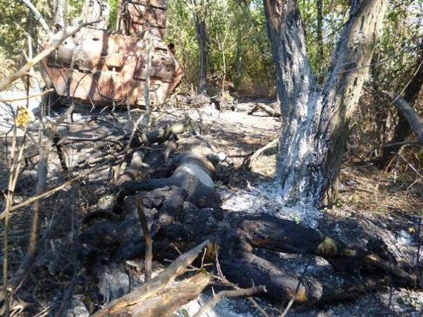 ���, ��� �������� �� ��������� ��������� "�����". 18 