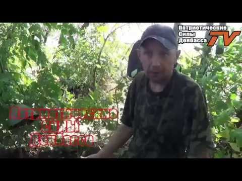 ������������� �� ��� ���������������.