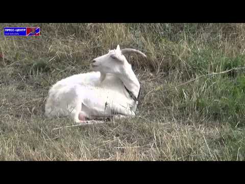 ������������� ��������� ������� ��� �������� ���������� ������� ���