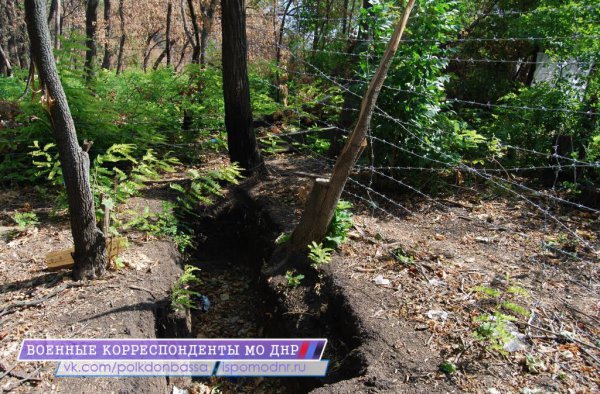 ������������� ������� 72 ���� (18 )