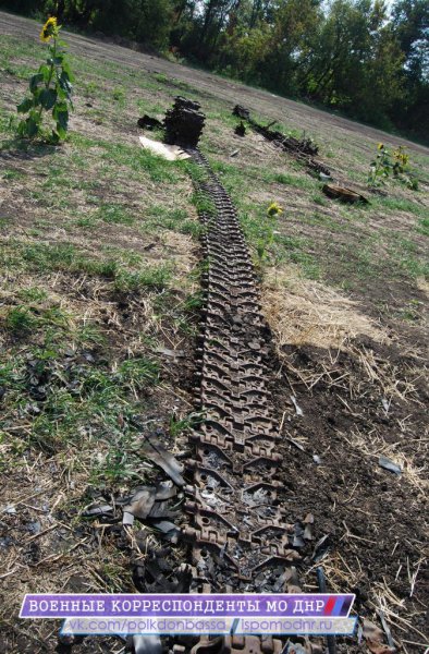 ������������� ������� 72 ���� (18 )