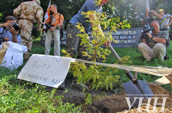 ���������� - �� ������� ������������ ������� ������ ����