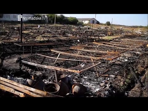 ������ ���� ���� ��������� �� �������� ���������� � ���������