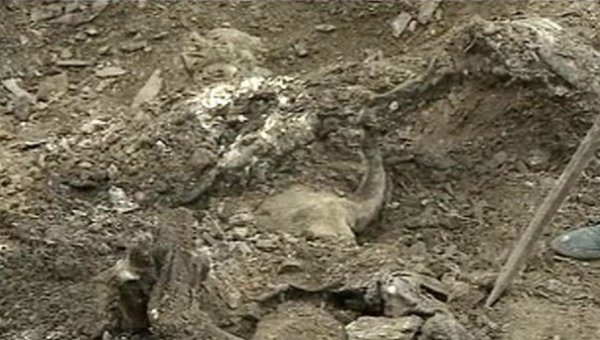 � ��� ��������� ���������� �������� ����������� ����� ����������� �����������