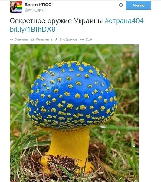 �������� �������� ���������� ���: ���������-���������� ������ �� ������ ����� "��� �������"