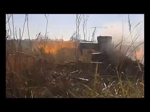�� �������� ��������� �� ���� ����� ���������� ������� �����