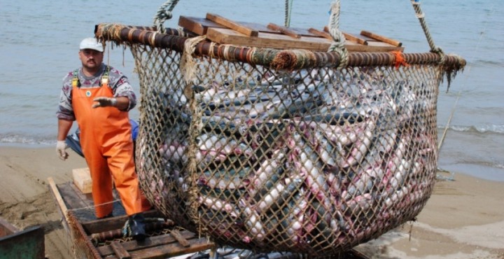 e7b279be6a862d254f0e7cc4dde2874e_L